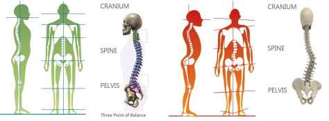 Three point of Balance